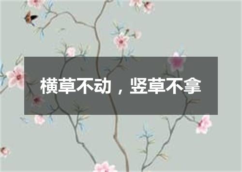 横草不动，竖草不拿