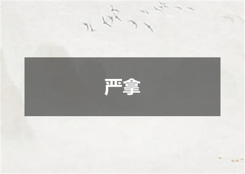 严拿