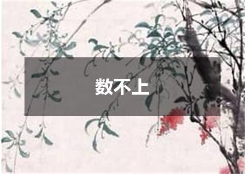 数不上