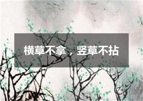 横草不拿，竖草不拈
