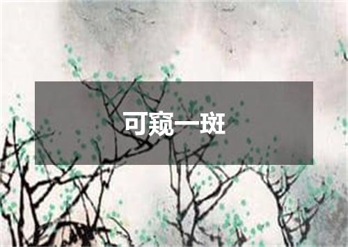 可窥一斑