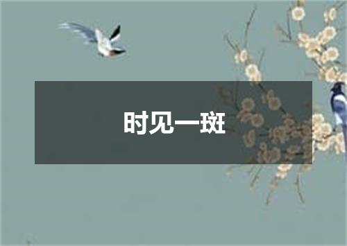 时见一斑