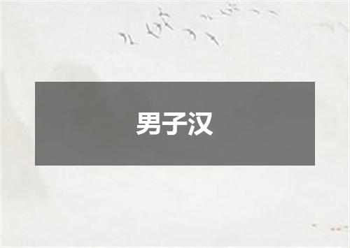 男子汉