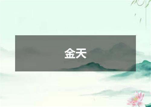 金天