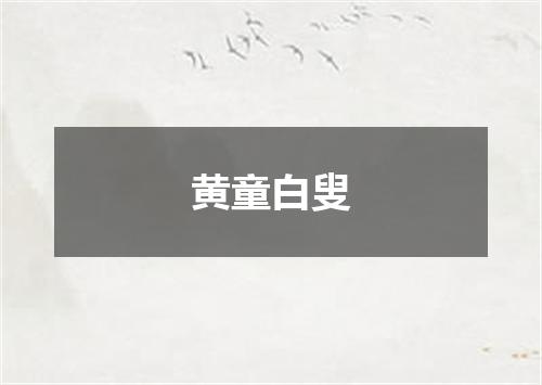 黄童白叟