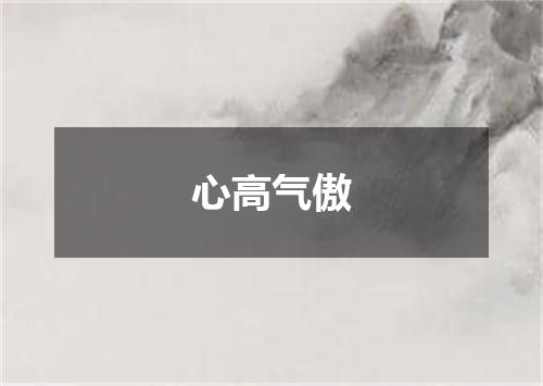 心高气傲