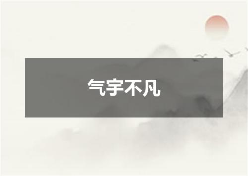 气宇不凡