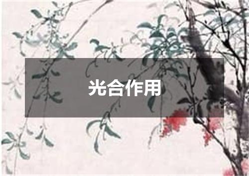 光合作用