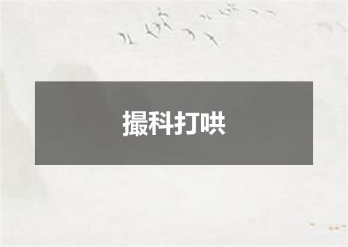 撮科打哄