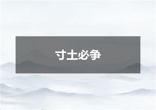 寸土必争