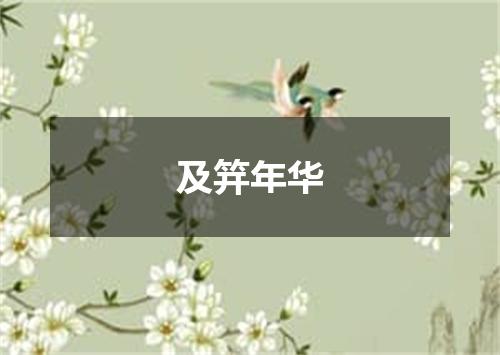及笄年华