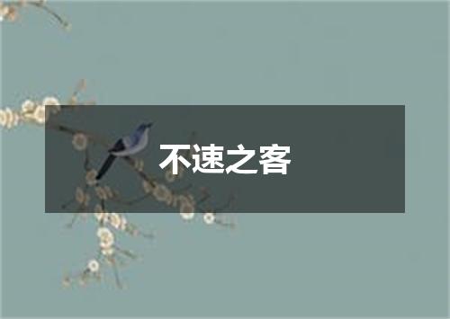 不速之客