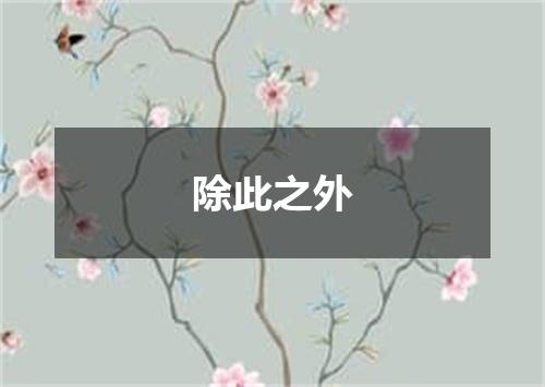 除此之外