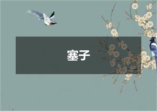 塞子