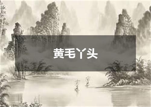 黄毛丫头