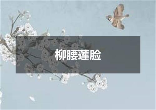 柳腰莲脸