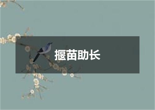 揠苗助长