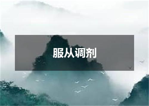 服从调剂