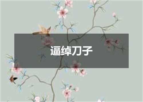 逼绰刀子