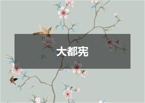 大都宪