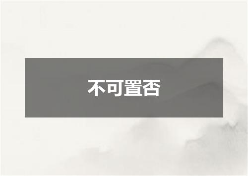 不可置否