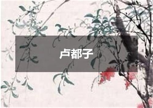 卢都子