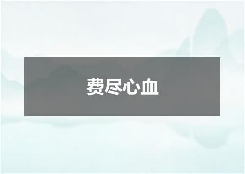 费尽心血