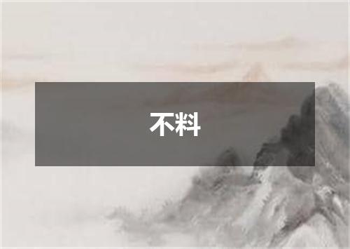 不料