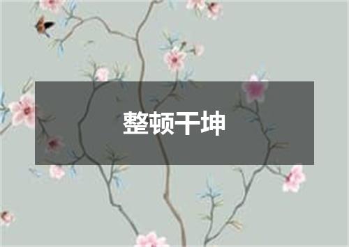 整顿干坤