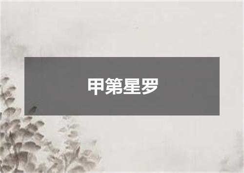 甲第星罗