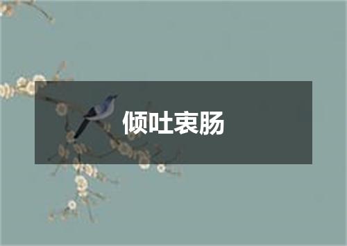 倾吐衷肠