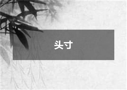 头寸