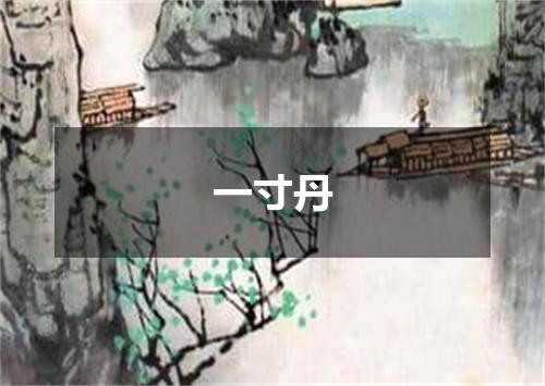 一寸丹