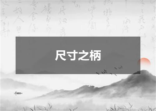 尺寸之柄