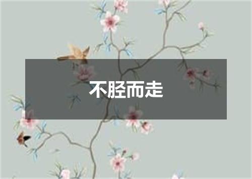 不胫而走