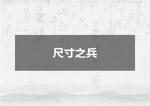 尺寸之兵