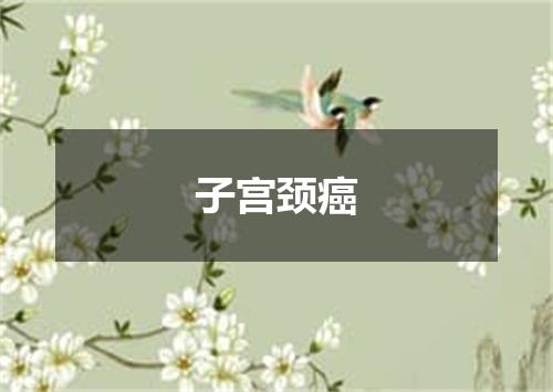 子宫颈癌