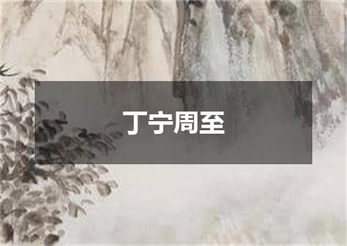 丁宁周至