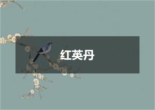 红英丹