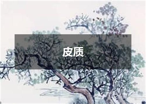 皮质