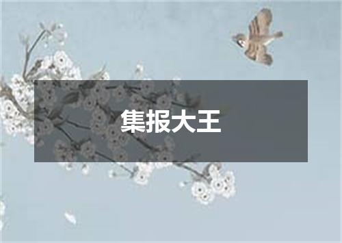 集报大王