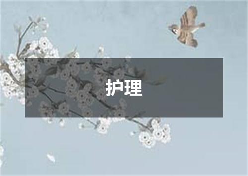 护理