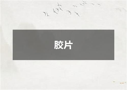 胶片