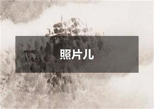 照片儿