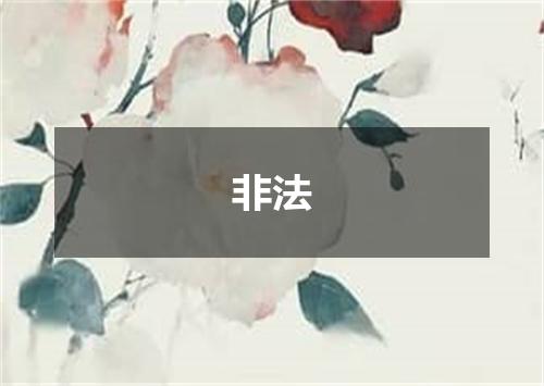 非法