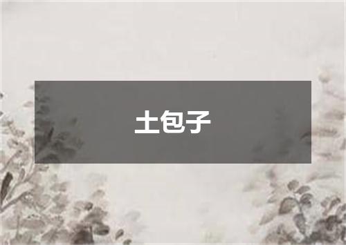 土包子