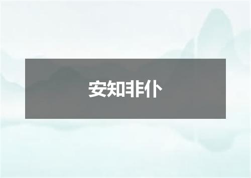 安知非仆