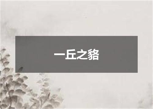 一丘之貉