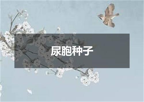 尿胞种子