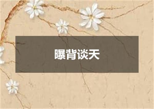 曝背谈天